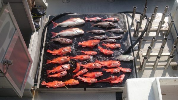 釣果
