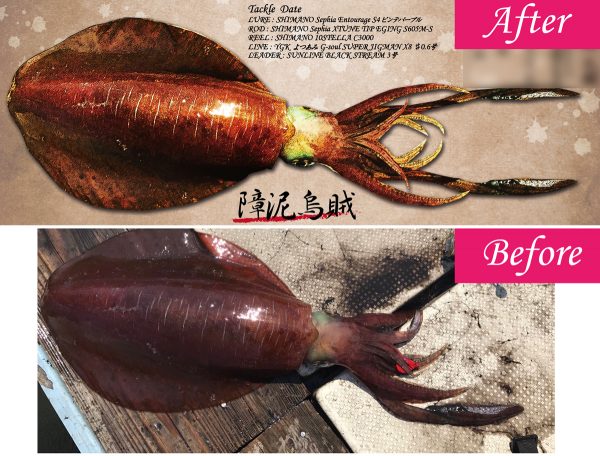 イカ拓比較