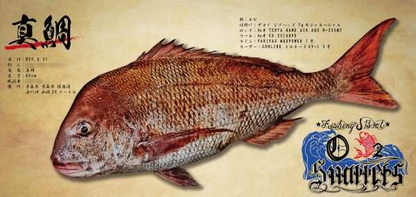 80cm鯛魚拓
