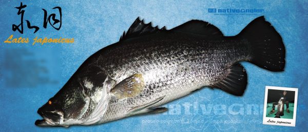 赤目デジタル魚拓