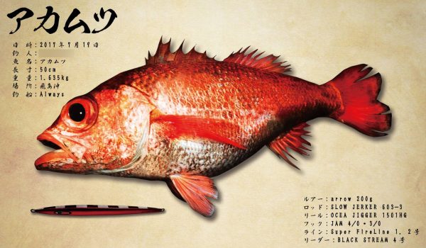 アカムツ魚拓