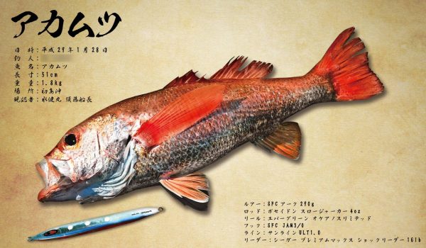 アカムツ完成画像