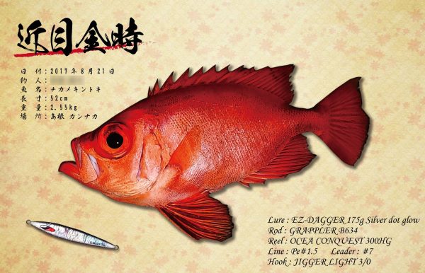 チカメキントキ魚拓