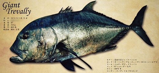 GT完成魚拓