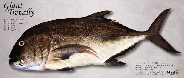 GT-完成魚拓
