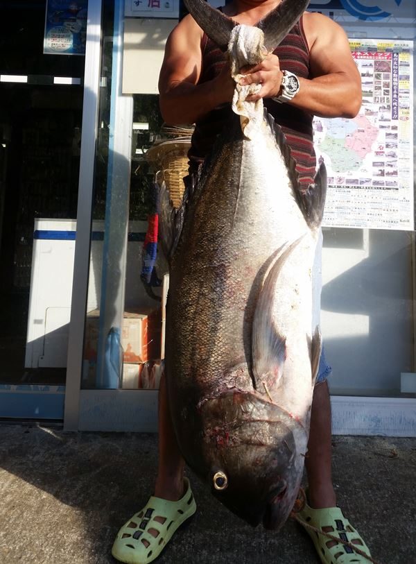 GT-元画像