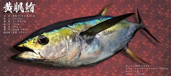 キハダマグロ魚拓