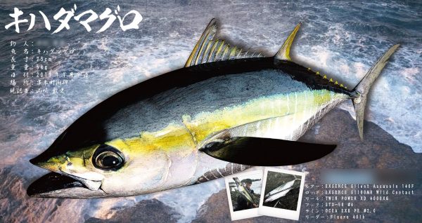 キハダマグロ魚拓