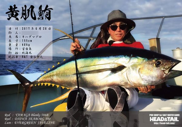 キハダマグロ魚拓