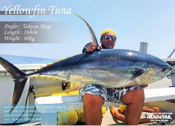 キハダマグロフォトパネル