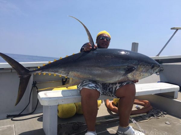 キハダマグロ元画像