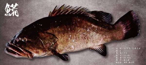 クエ魚拓