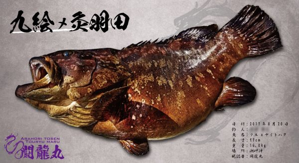 クエヤイトハタ魚拓仕上がり
