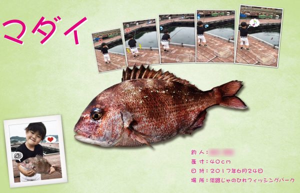 真鯛デジタル魚拓構成例