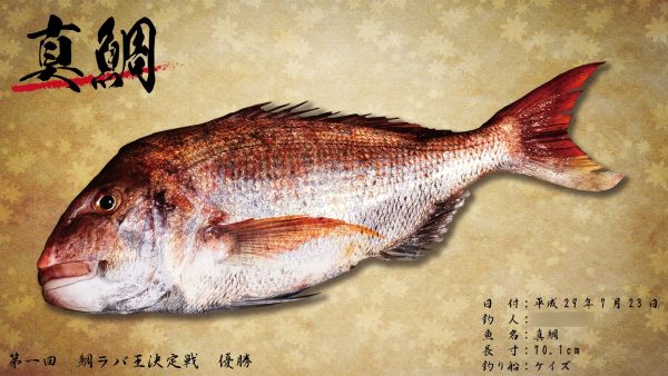 優勝賞品－魚拓