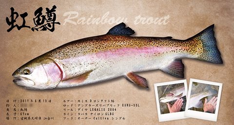 ニジマス魚拓