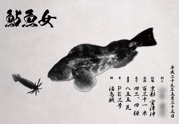 アイナメ魚拓