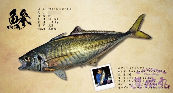 アジ