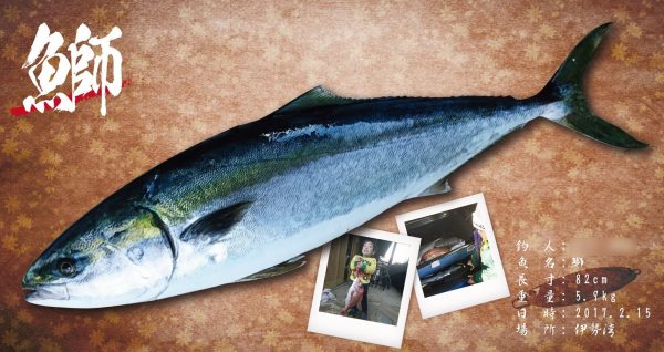 ブリ魚拓