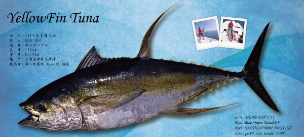 完成魚拓