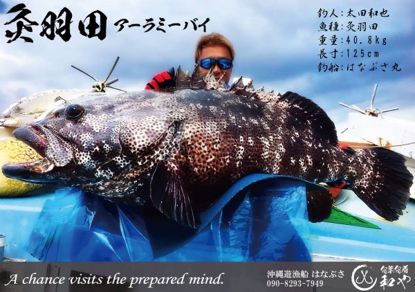 ハタフォトパネル