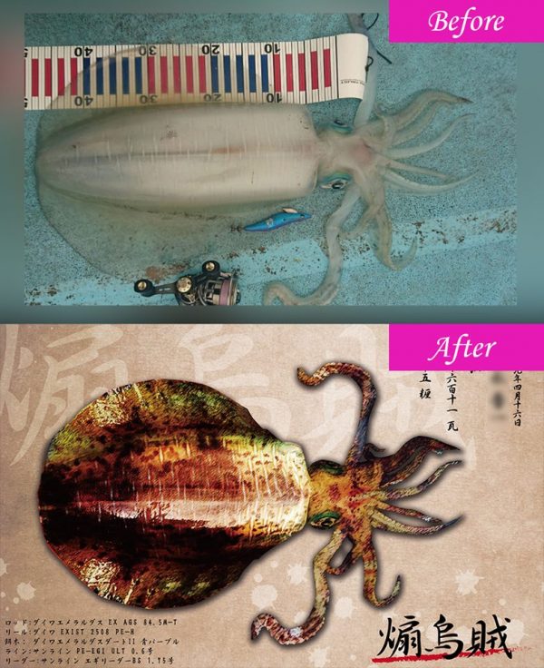 アオリイカ魚拓