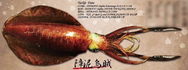 イカ魚拓完成