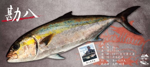 カンパチデジタル魚拓