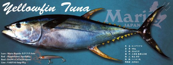 キハダ魚拓