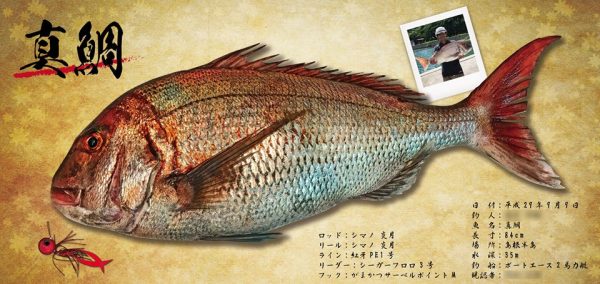 鯛デジタル魚拓