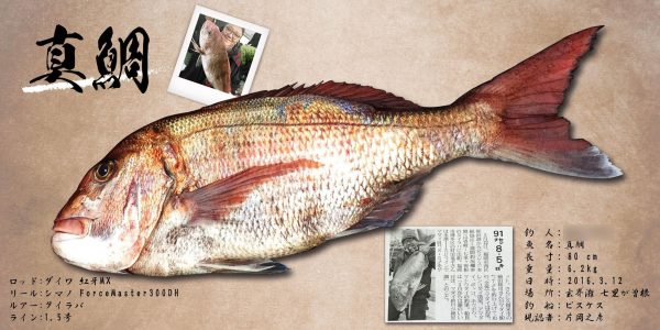 真鯛魚拓