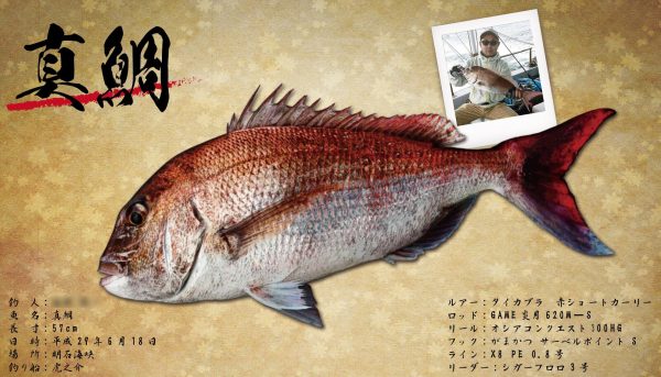 真鯛-デジタル魚拓
