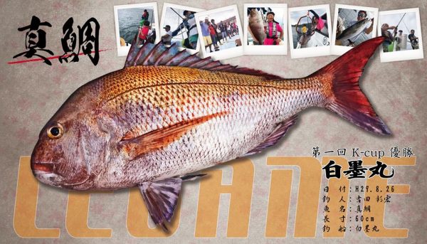 真鯛デジタル魚拓