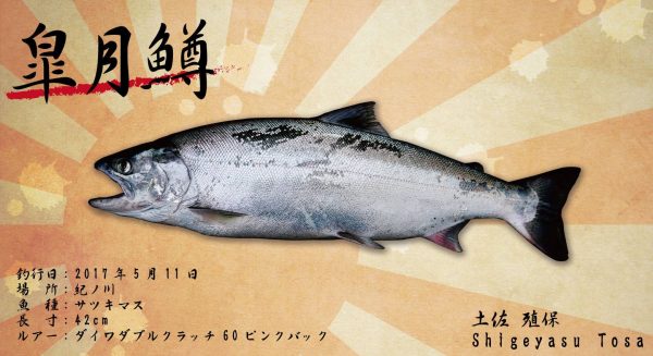 鱒