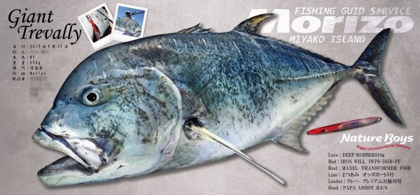 GT魚拓