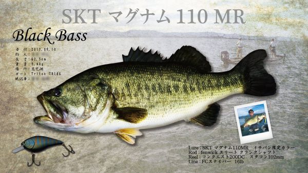 ブラックバス