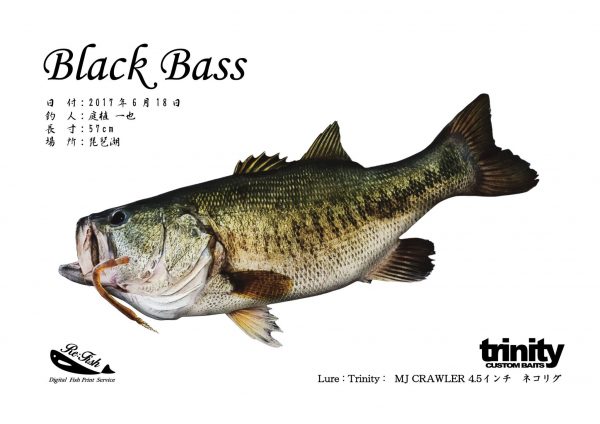 ブラックバス魚拓