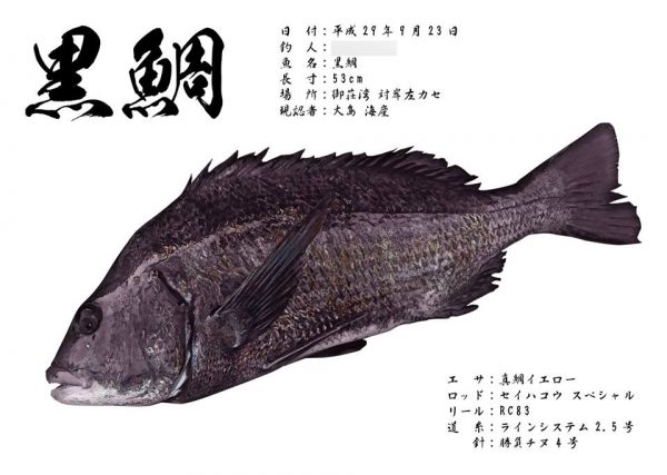 チヌ魚拓