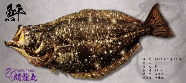 ヒラメ魚拓
