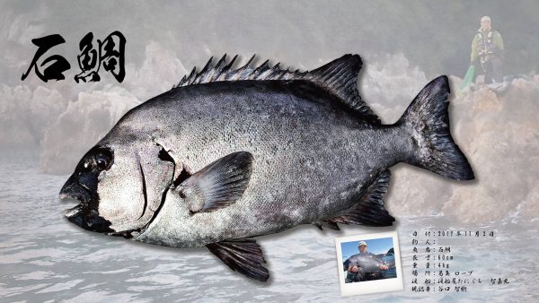 石鯛魚拓