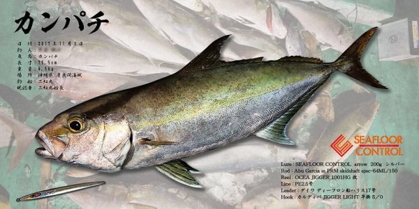 カンパチ魚拓