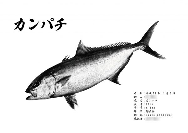 カンパチ墨風魚拓