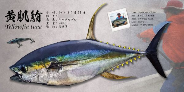 キハダマグロ完成
