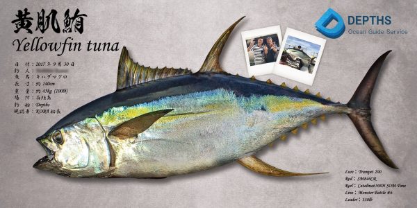 キハダマグロ魚拓