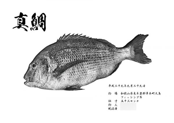 真鯛和紙魚拓