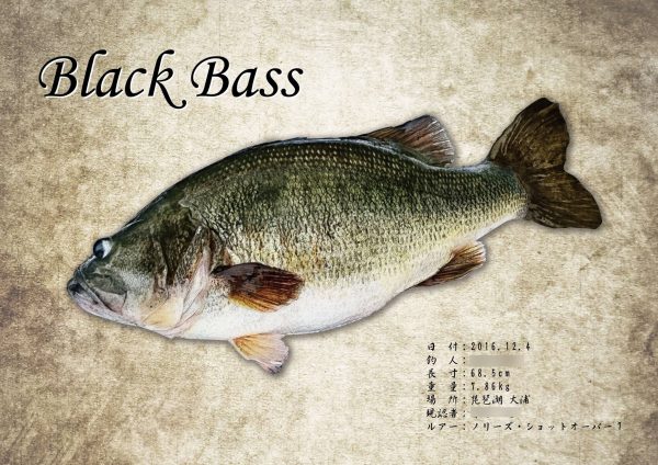 ブラックバス魚拓