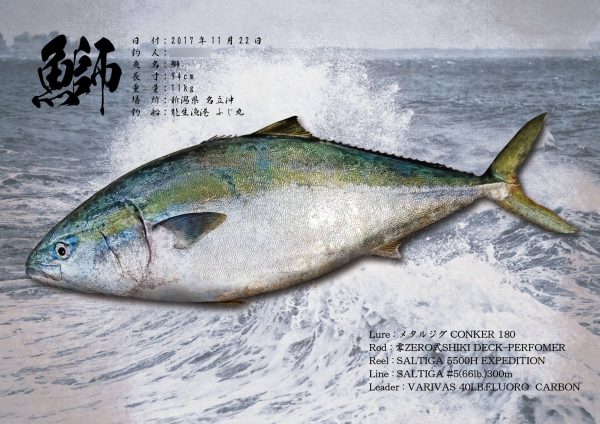 鰤魚拓