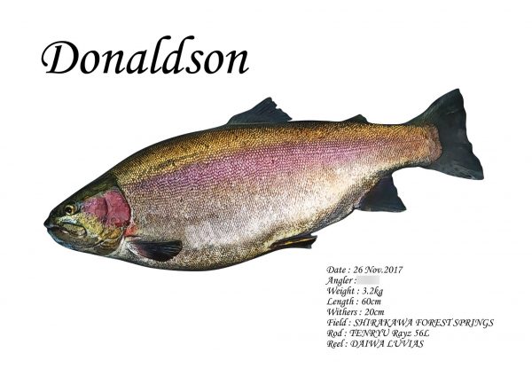 ドナルドソン魚拓