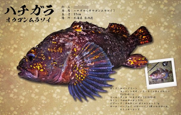 ハチガラ