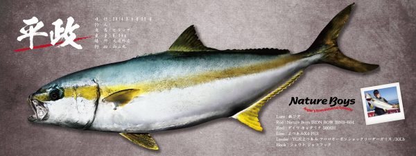 ヒラマサ魚拓